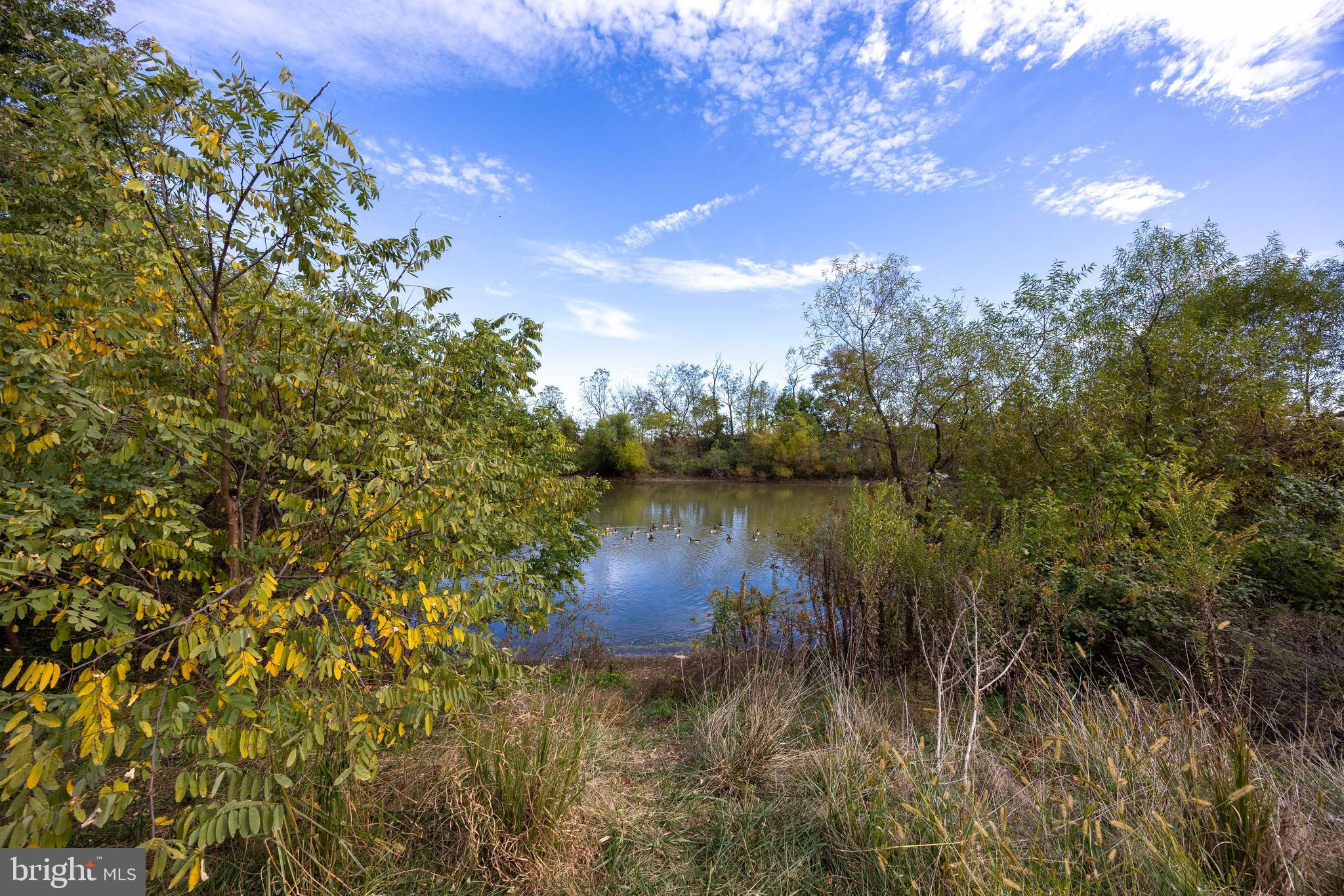BERKELEY RIDGE - Residential