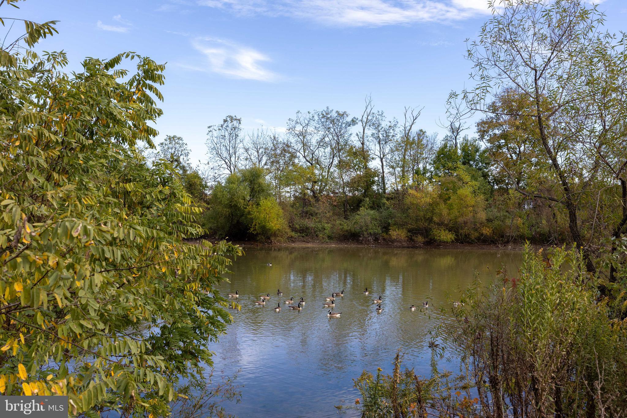 BERKELEY RIDGE - Residential