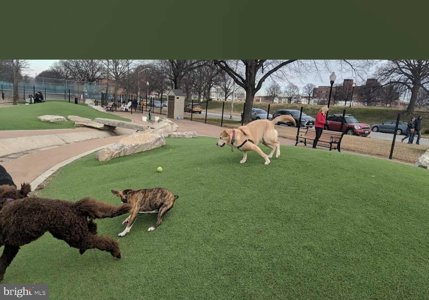 PATTERSON PARK - Residential