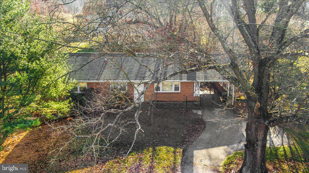 CHESTNUT HILL - Residential