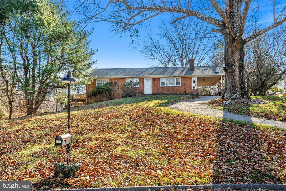 CHESTNUT HILL - Residential