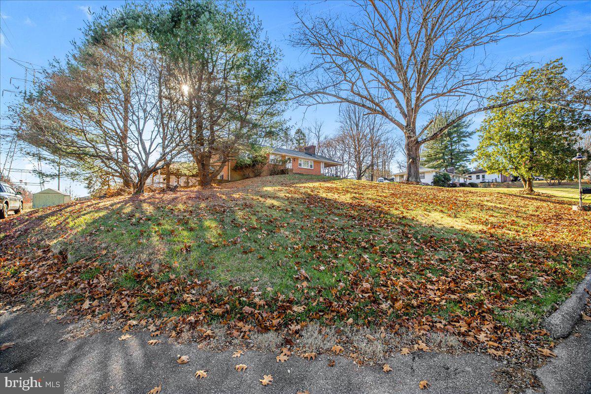 CHESTNUT HILL - Residential