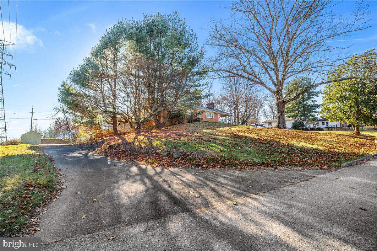 CHESTNUT HILL - Residential