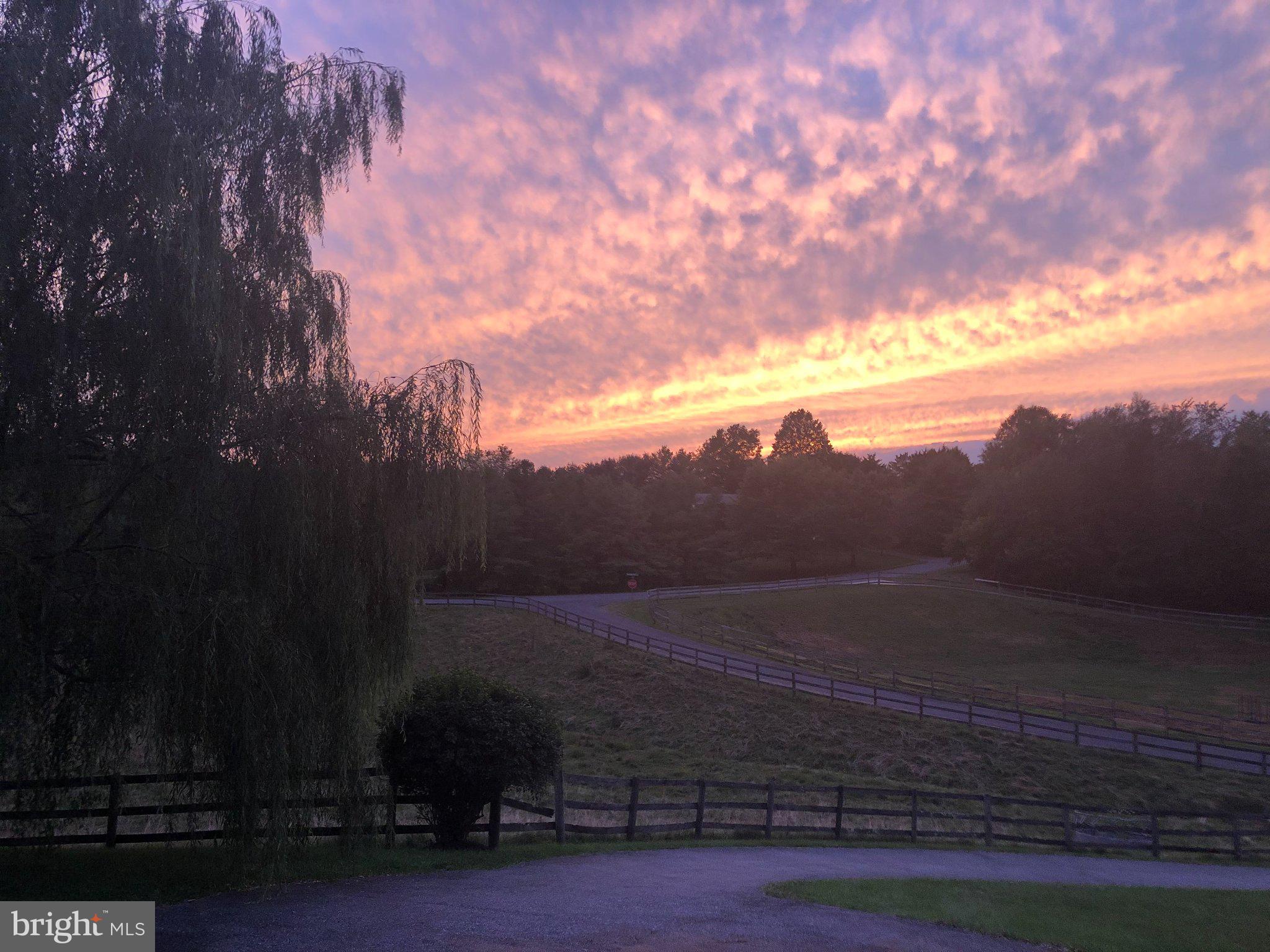 NEW ESTATES - Residential