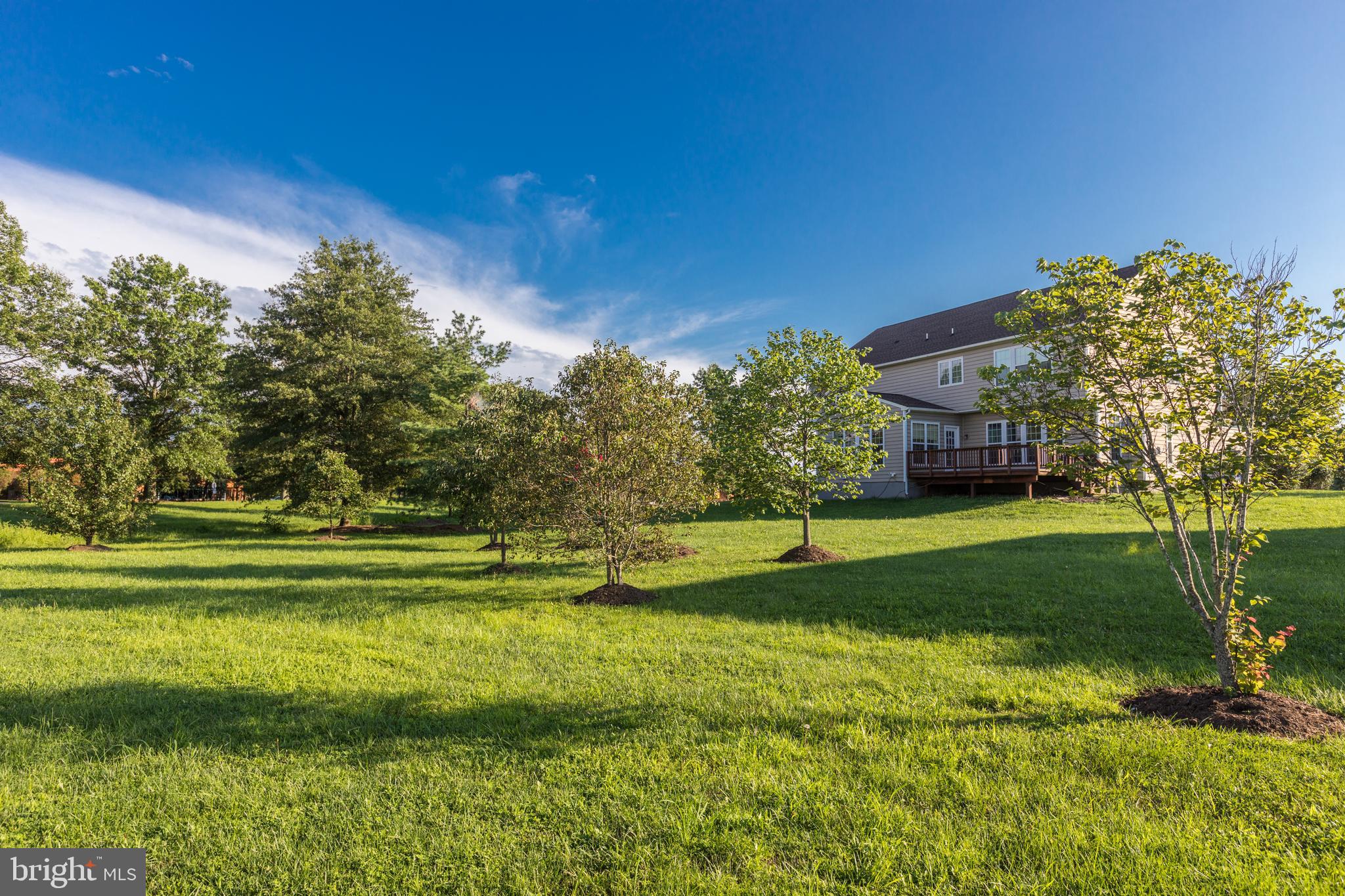 THE RIDINGS AT BLUE SPRING - Residential Lease