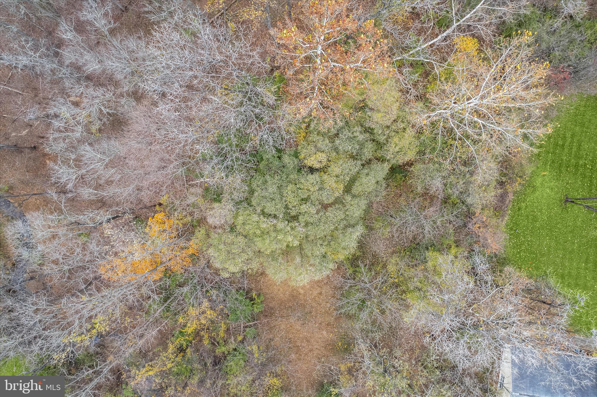 CARROLL HIGHLANDS - Land