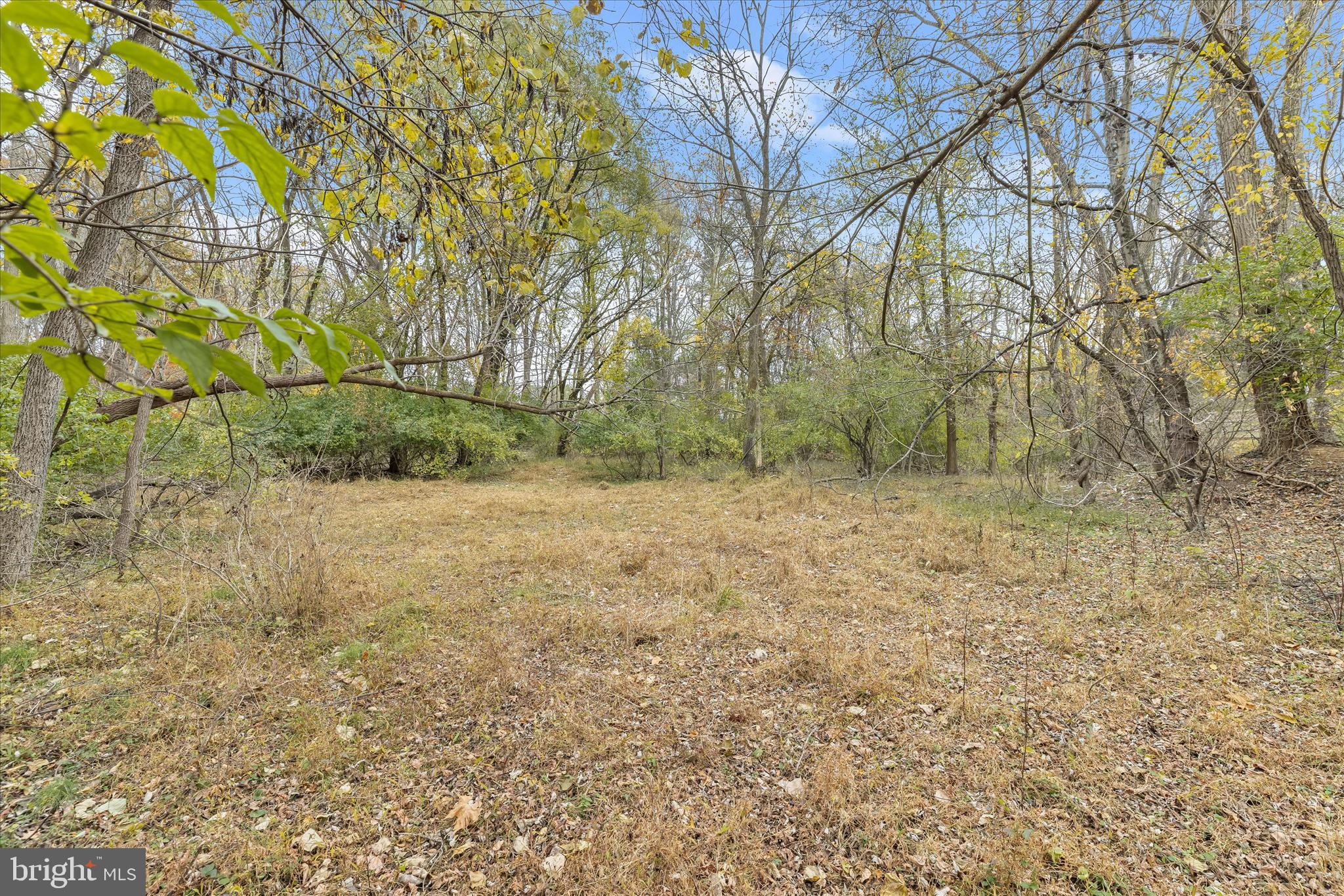 CARROLL HIGHLANDS - Land