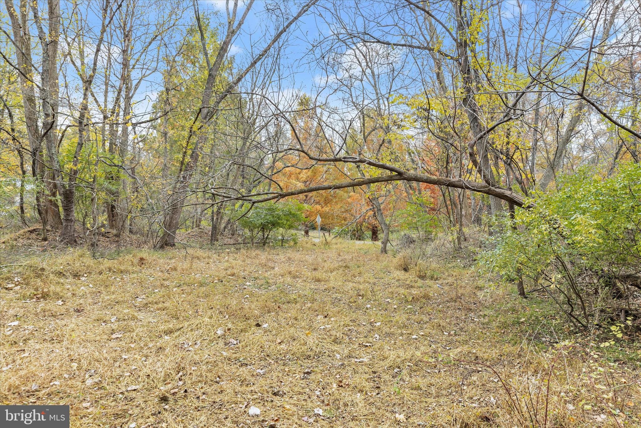 CARROLL HIGHLANDS - Land