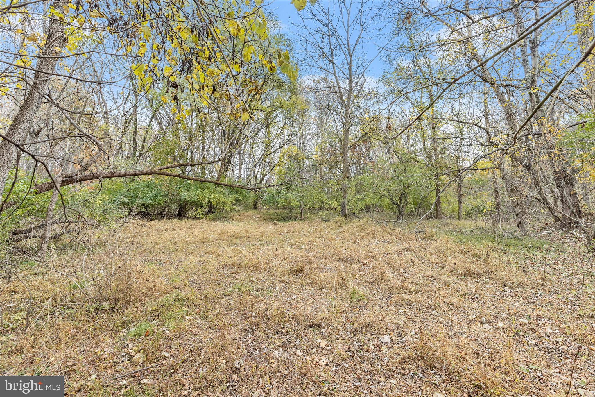 CARROLL HIGHLANDS - Land