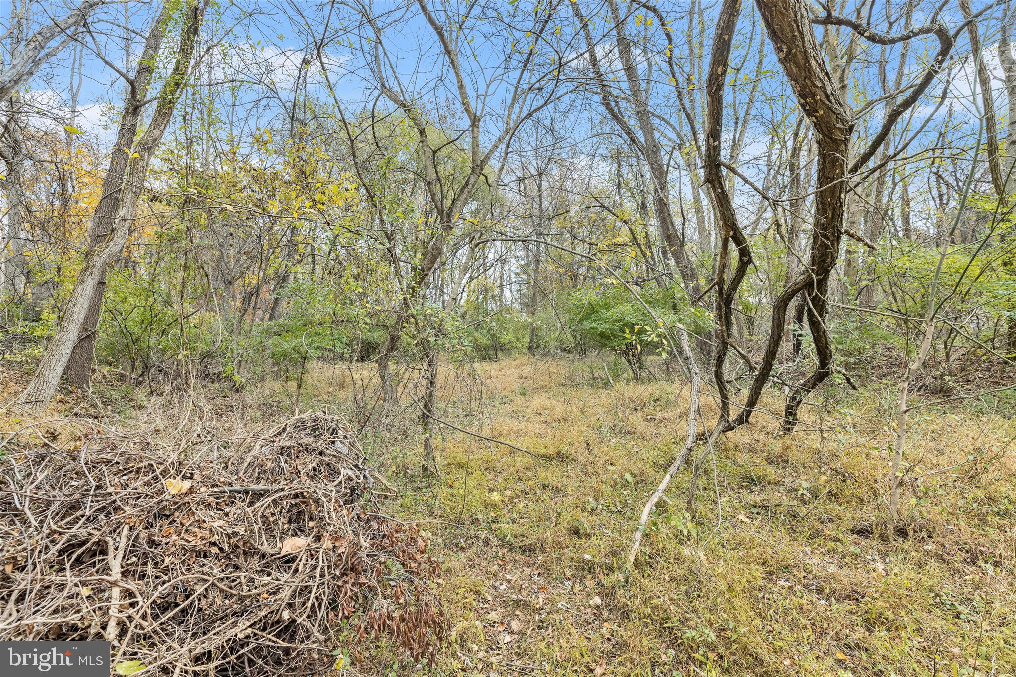 CARROLL HIGHLANDS - Land