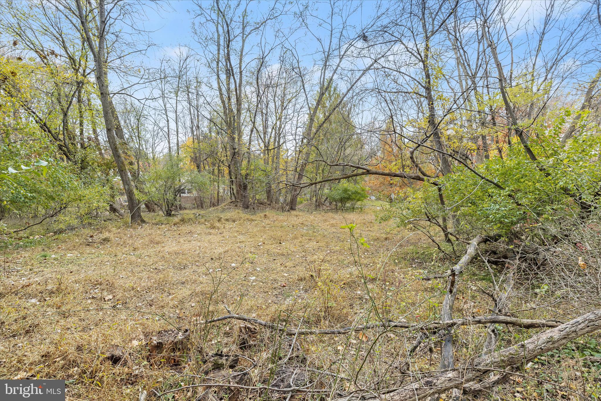 CARROLL HIGHLANDS - Land