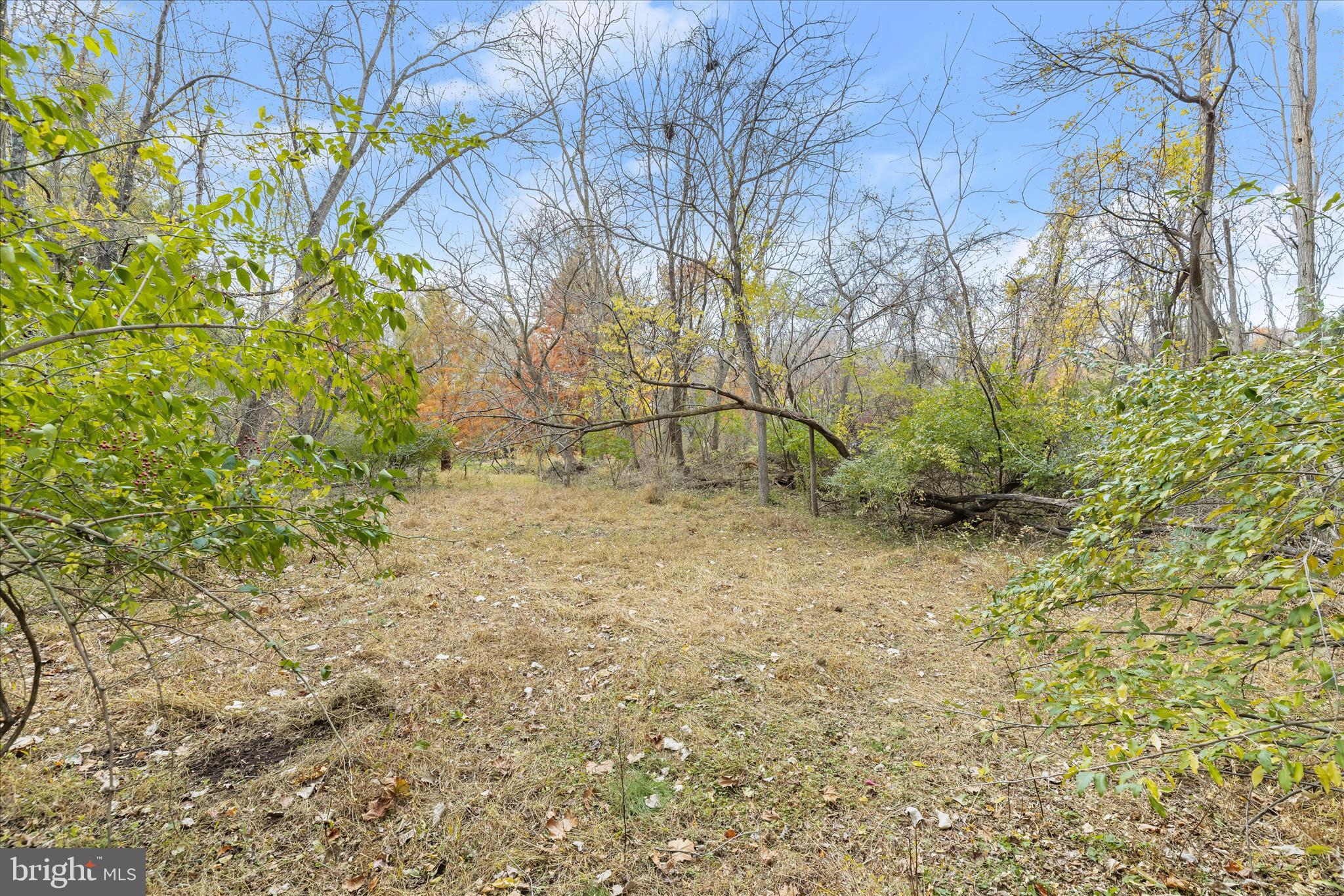 CARROLL HIGHLANDS - Land