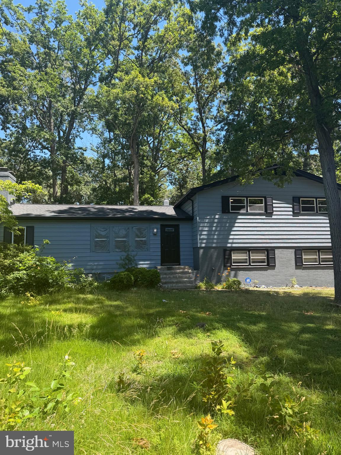 896 FOREST LANE
