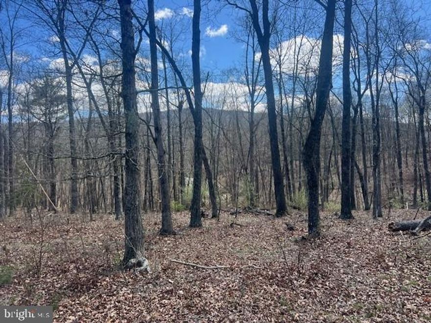 Very nice  20 acre lot in a great location with multiple build sites and great views off the rear of the property ! Easy access and very easy to get around the lot as well with a good trail system already in place! Hunt , fish on the nearby North River, ride your ATV's shoot your guns and live like a mountaineer ! Build your hunting cabin or dream house with multiple build sites . Camper on the property conveys and is of no value but it can be used as a hunting blind . This property also adjoins the 177 acre North River Sportsman's Club for additional privacy. Good deal on a nice parcel so come out and take a look !!