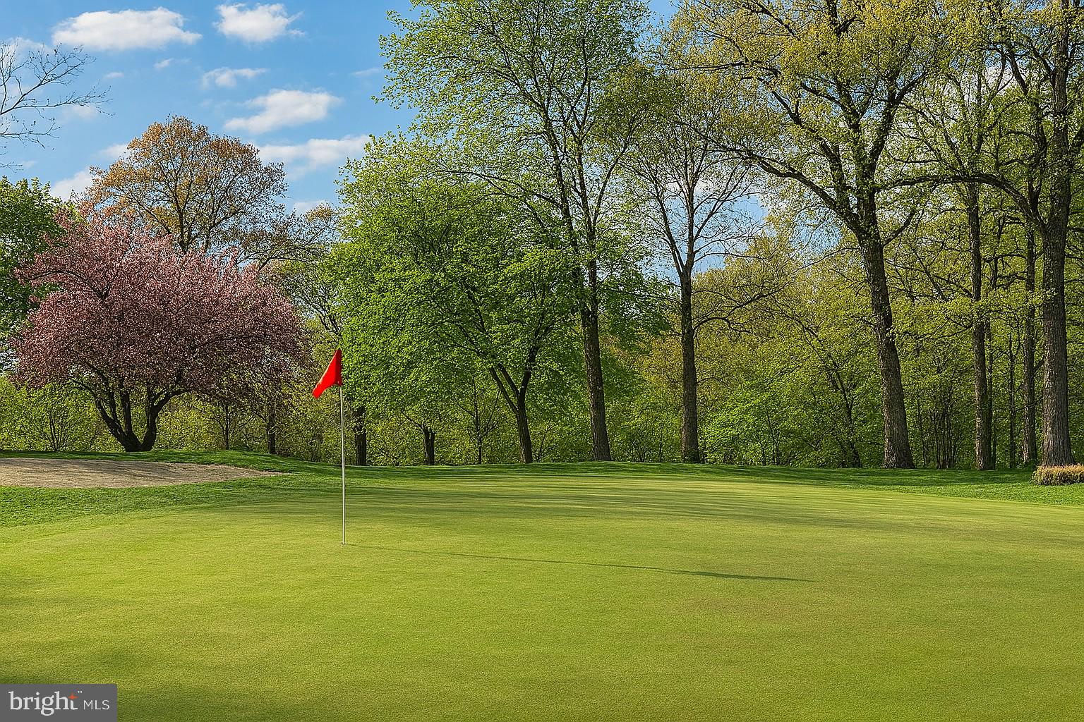 SYCAMORE LAKES - Residential