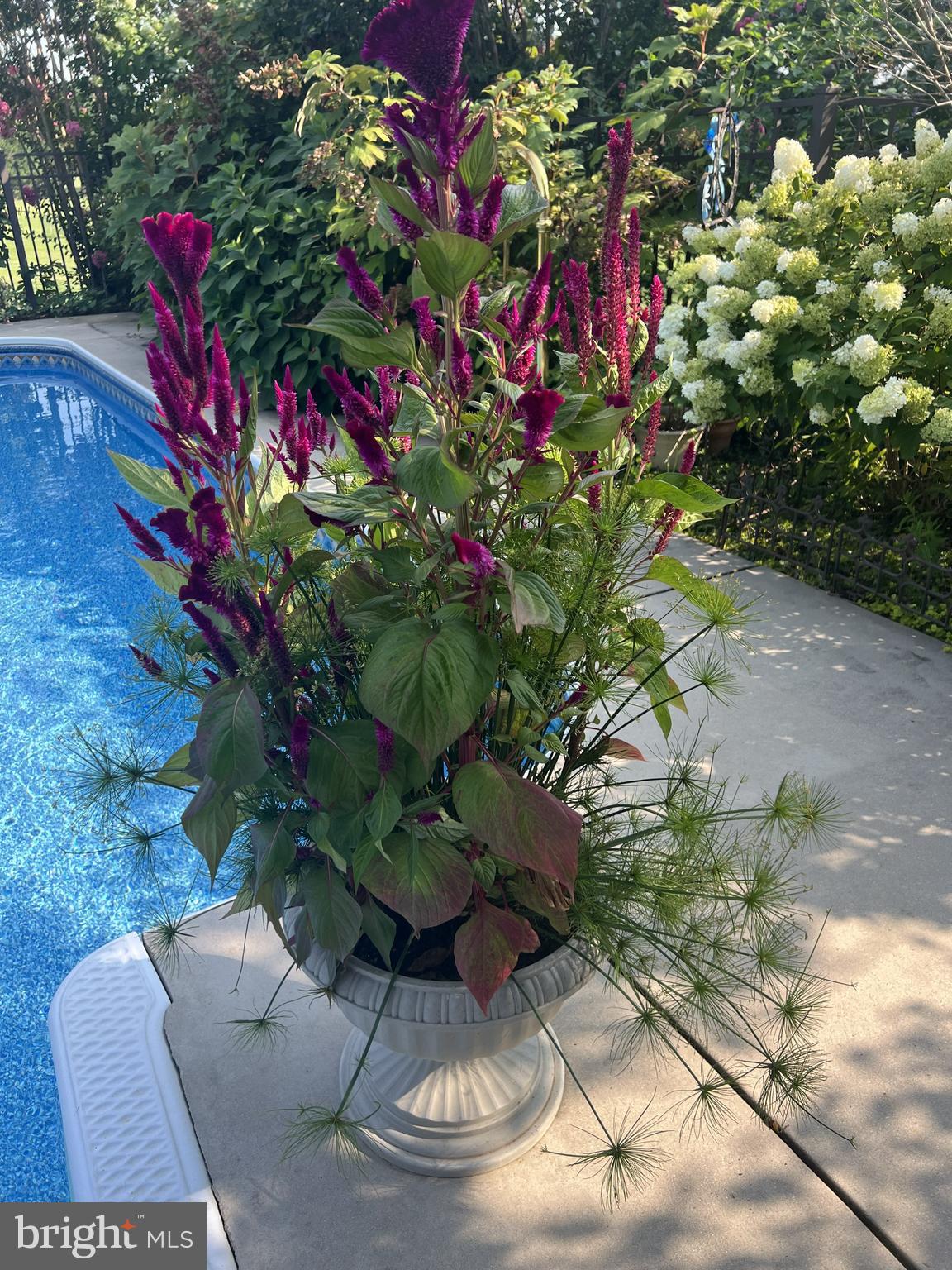 RIVER BEND FARMS - Residential