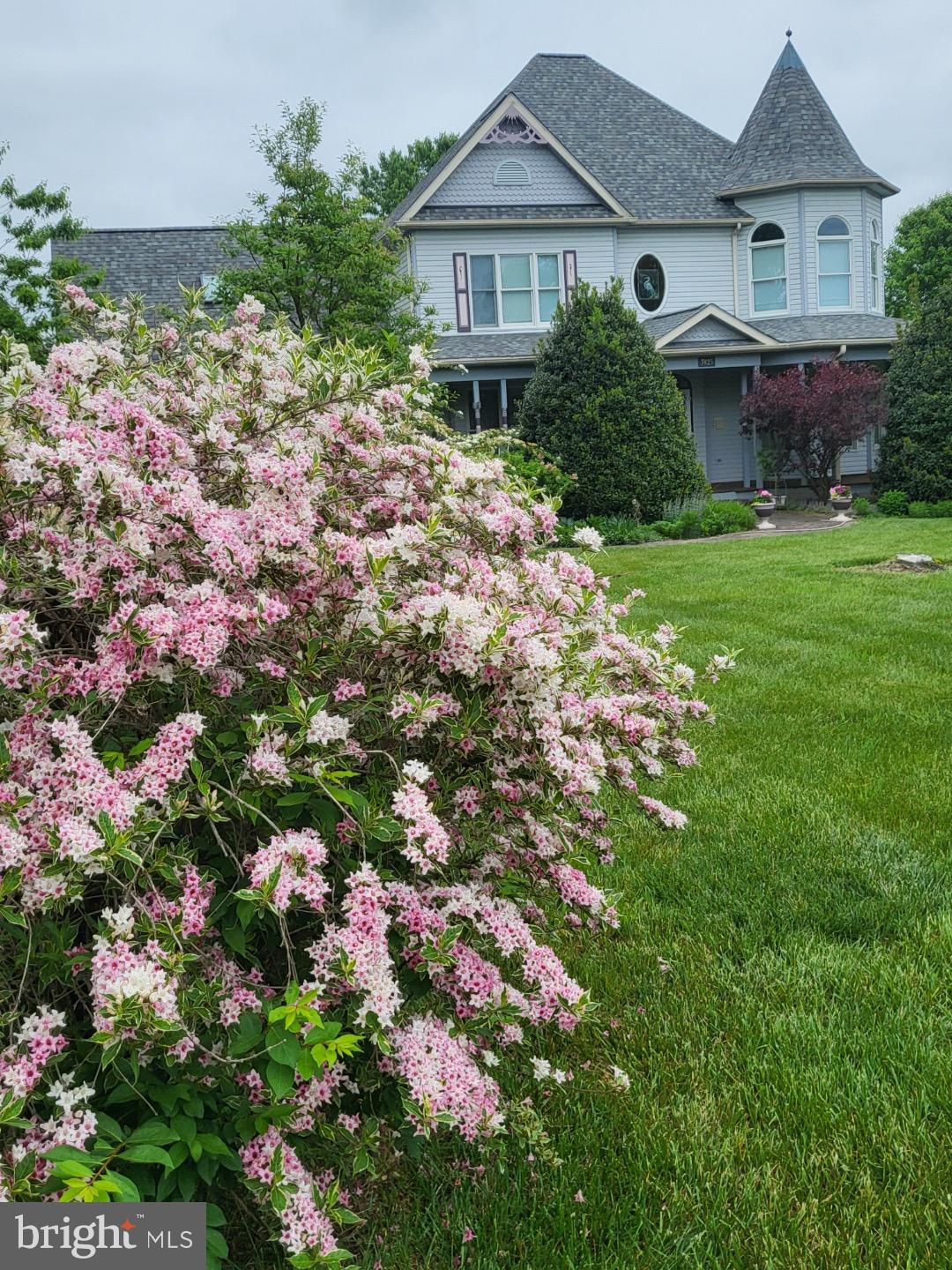 7825 DAM NUMBER 4 ROAD 4