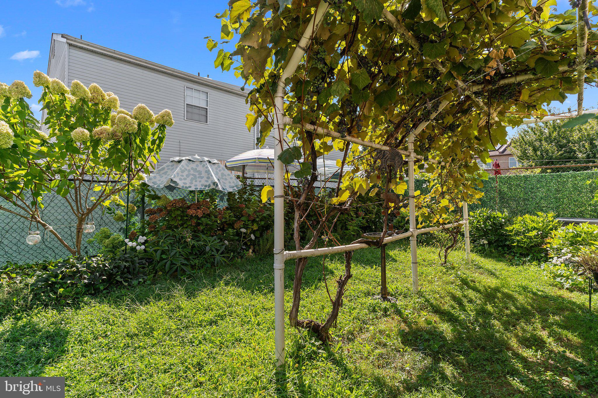 SOMERTON - Residential