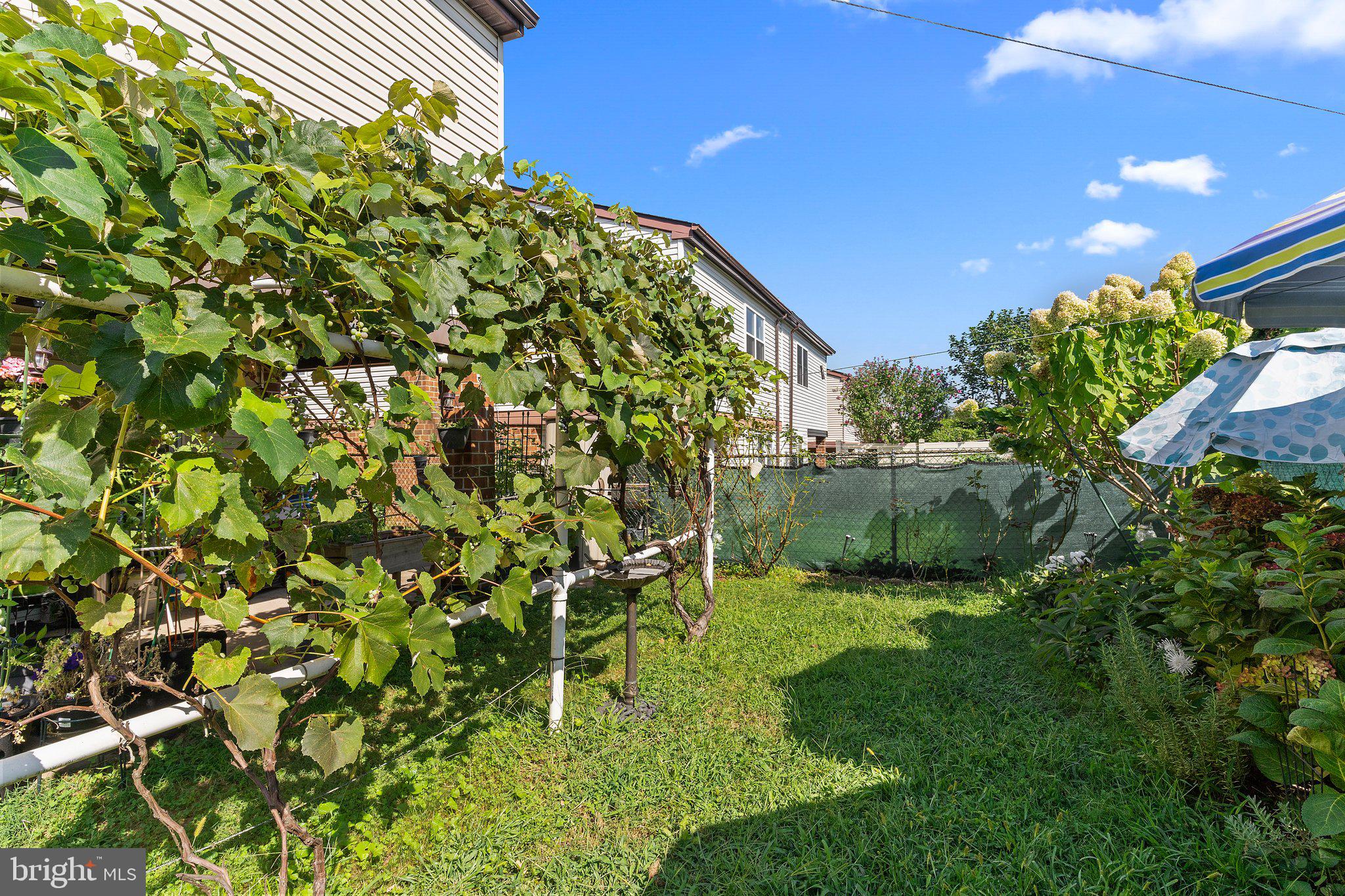 SOMERTON - Residential