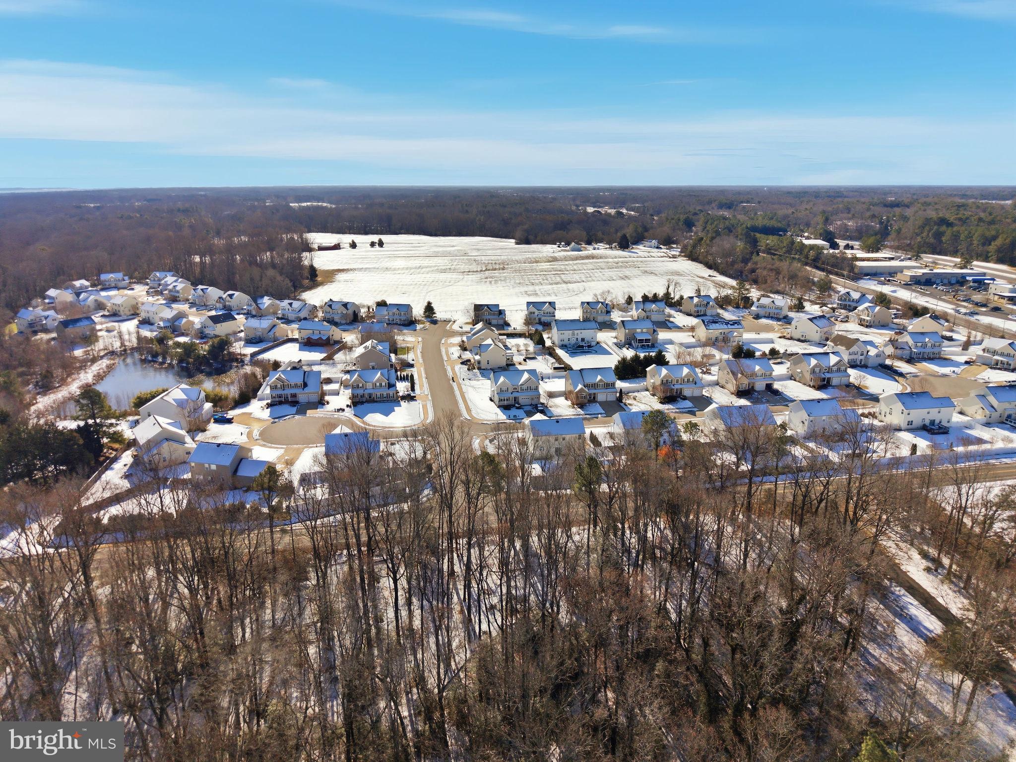 ESTATES AT JOY CHAPEL - Residential
