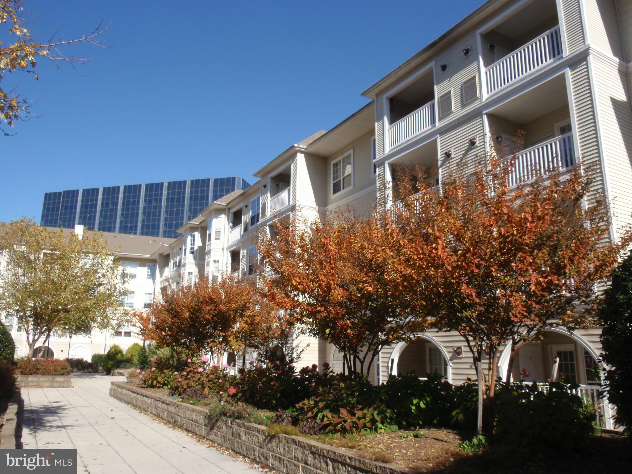 PALAZZO AT PARK CENTER - Residential Lease