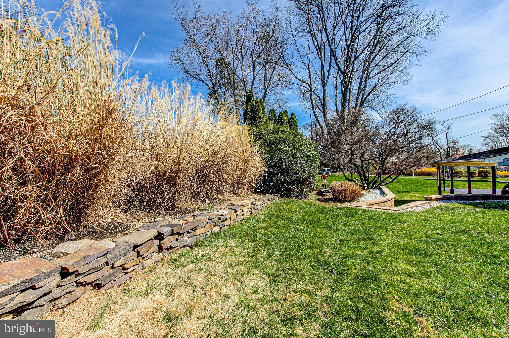 WILLOW GREENE - Residential