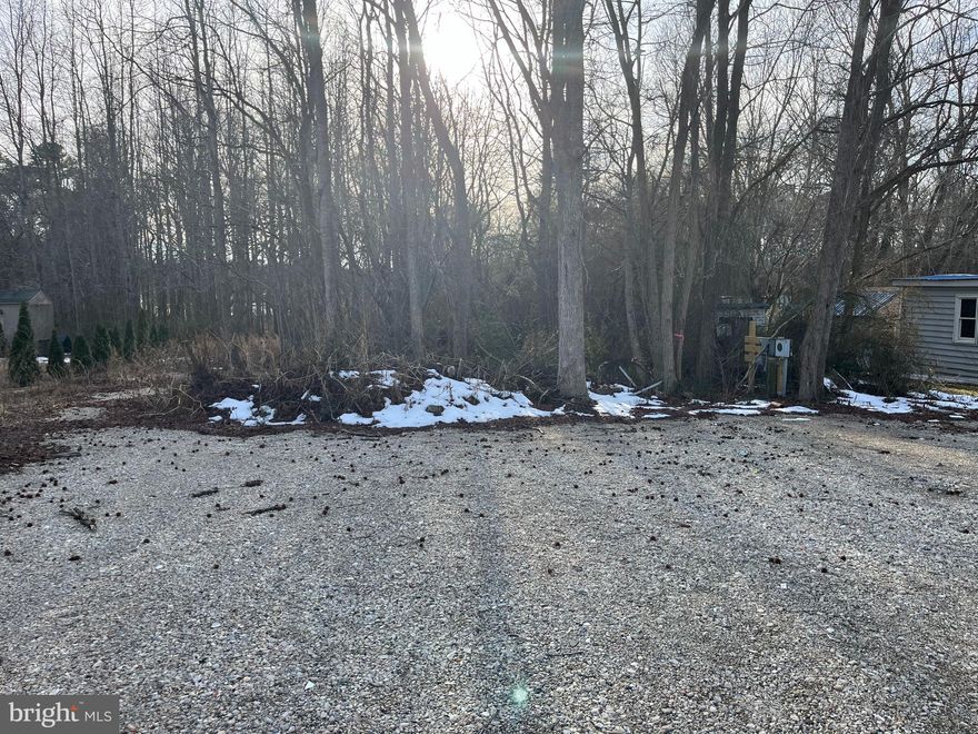 .81 acres close the the Delaware Beaches
OWNER FINANCING AVAILABLE
Wooded lot.  Front 25' have been cleared and gravel has been put down.