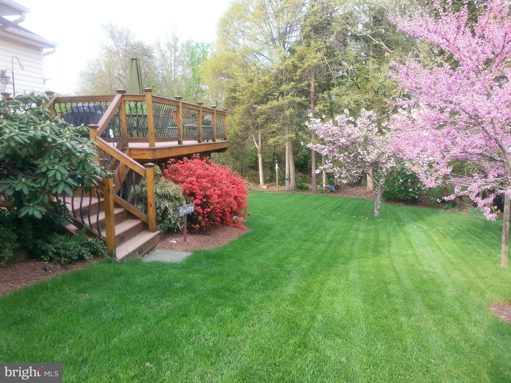 ROCKY RUN - Residential