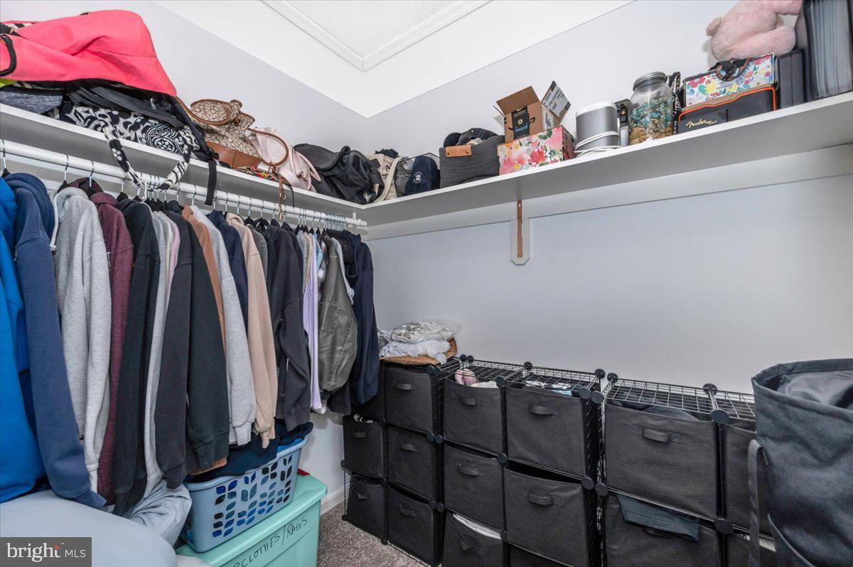 HAMMONDS MILL - Residential