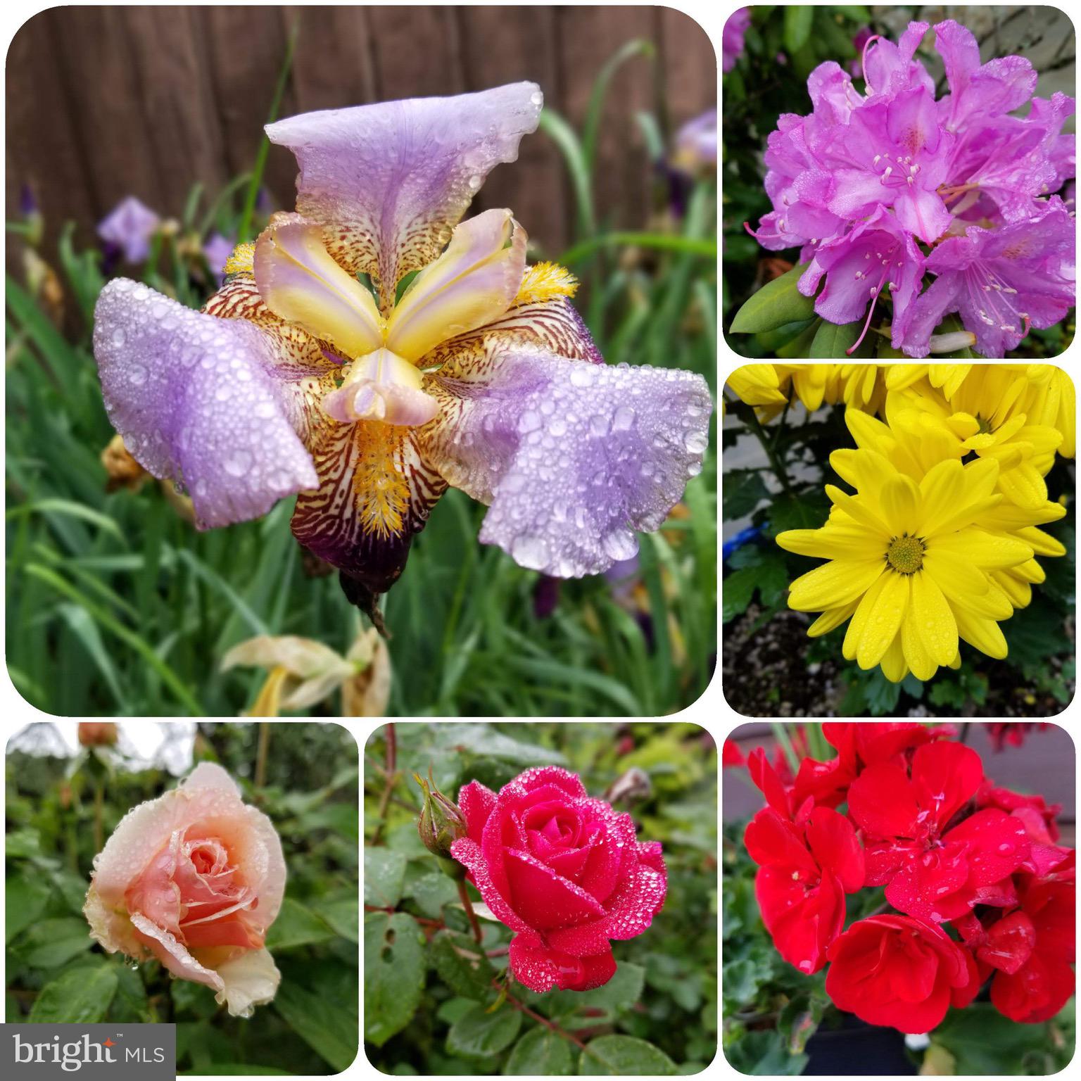 EXETER GOLF CLUB E - Residential