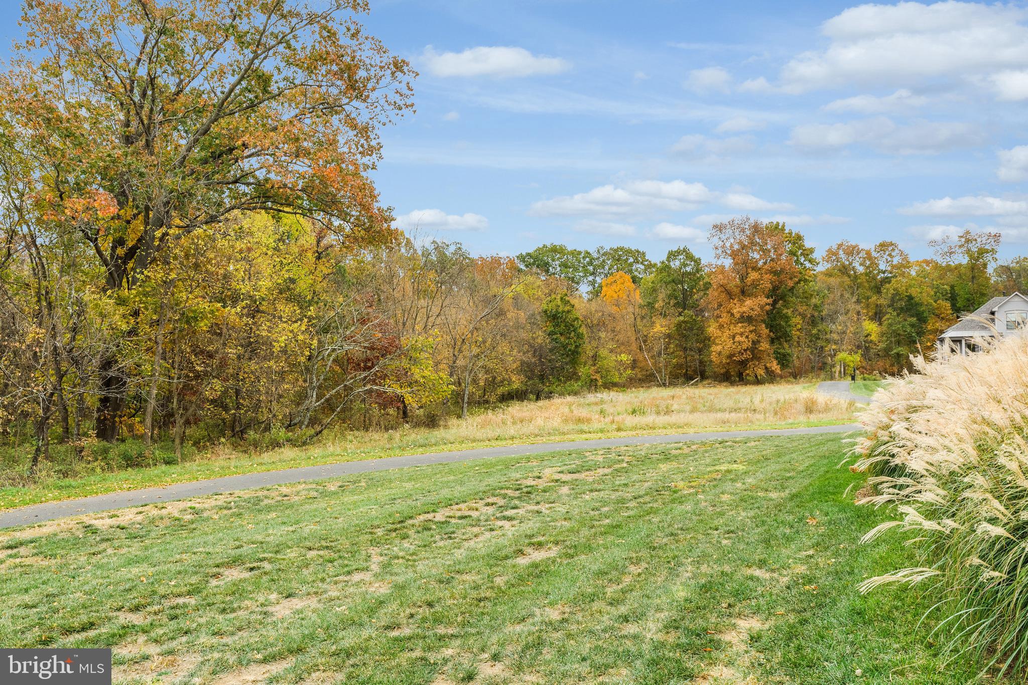 BIRCHWOOD AT BRAMBLETON - Residential