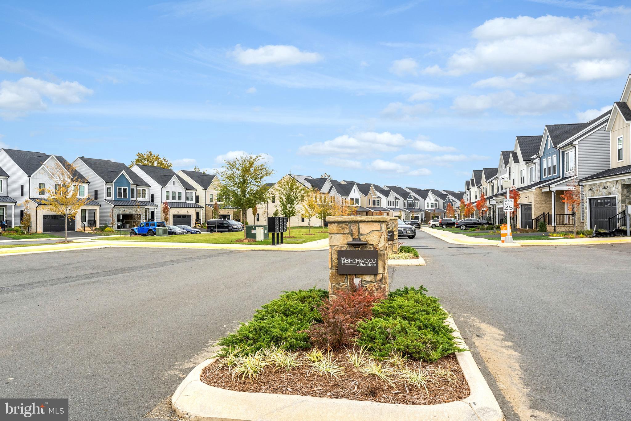 BIRCHWOOD AT BRAMBLETON - Residential