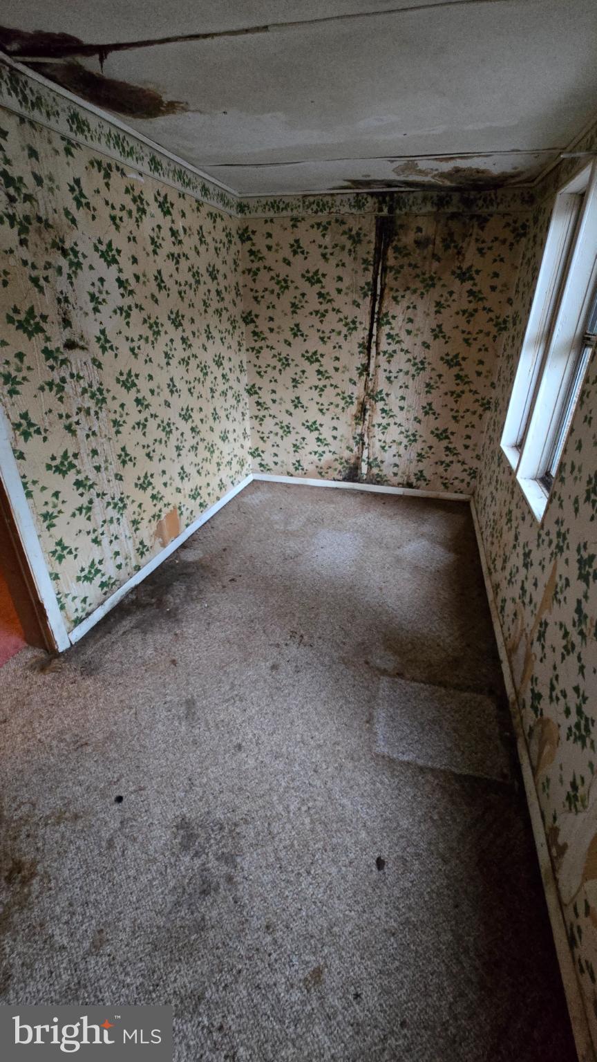 LITTLE HOLLYWOOD - Residential