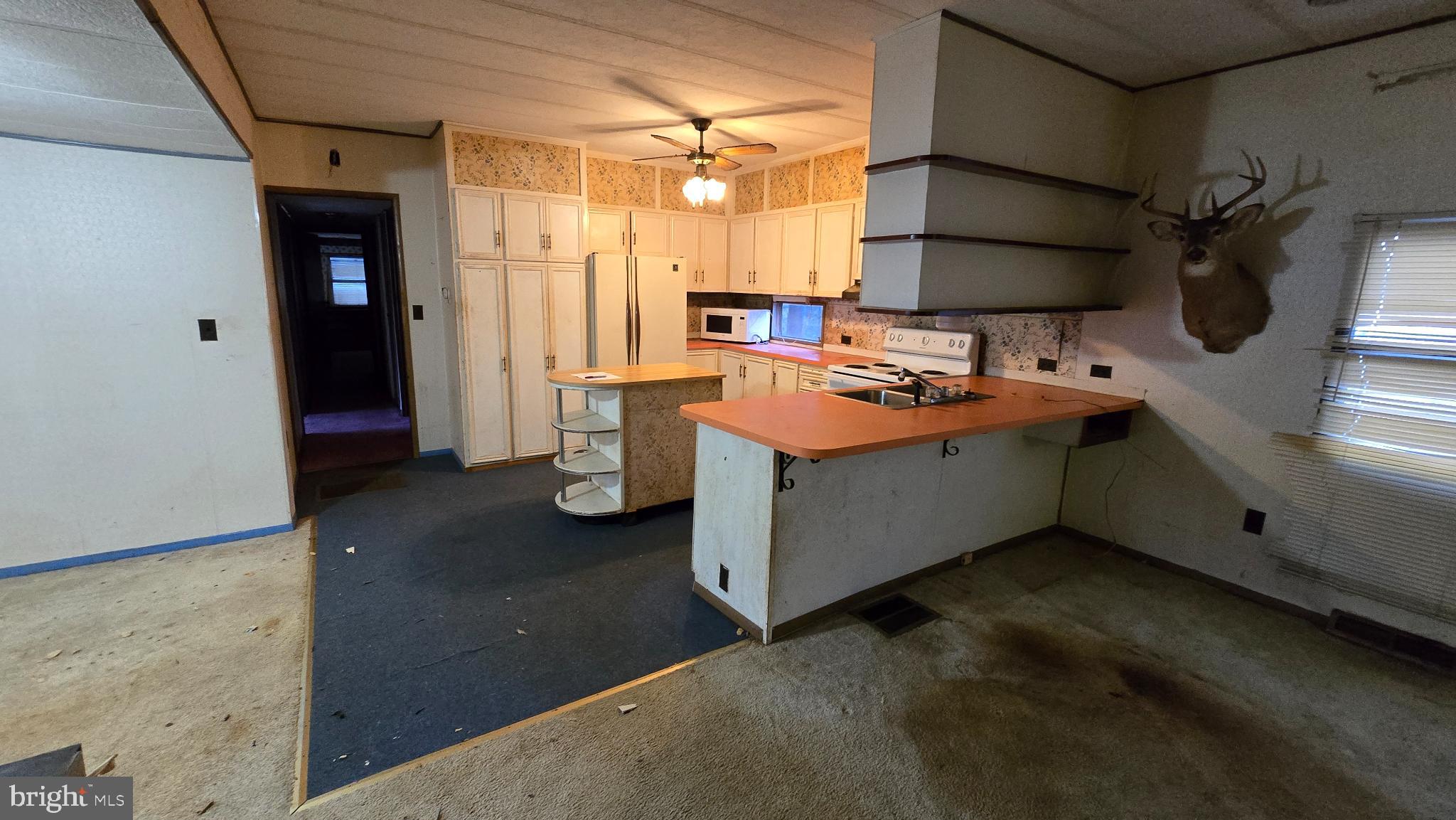 LITTLE HOLLYWOOD - Residential