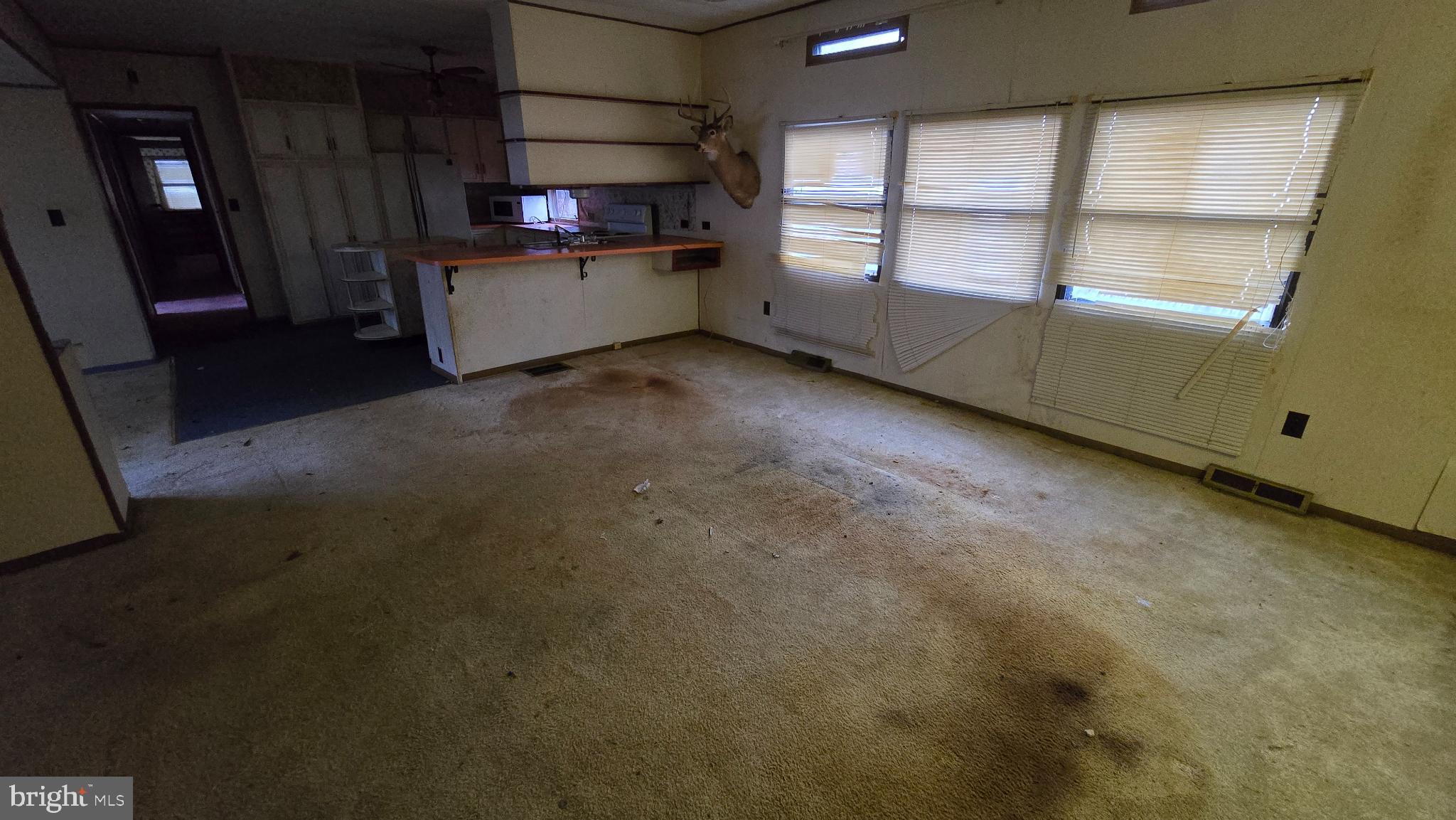 LITTLE HOLLYWOOD - Residential