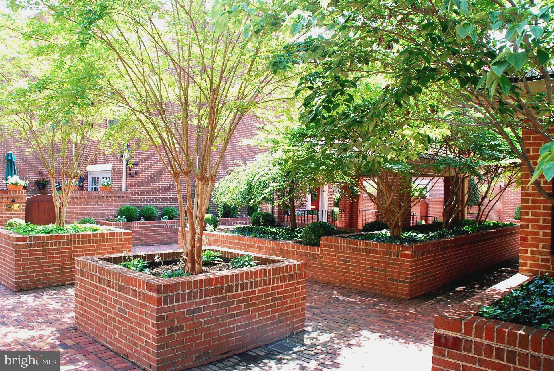 WASHINGTON SQUARE - Residential Lease