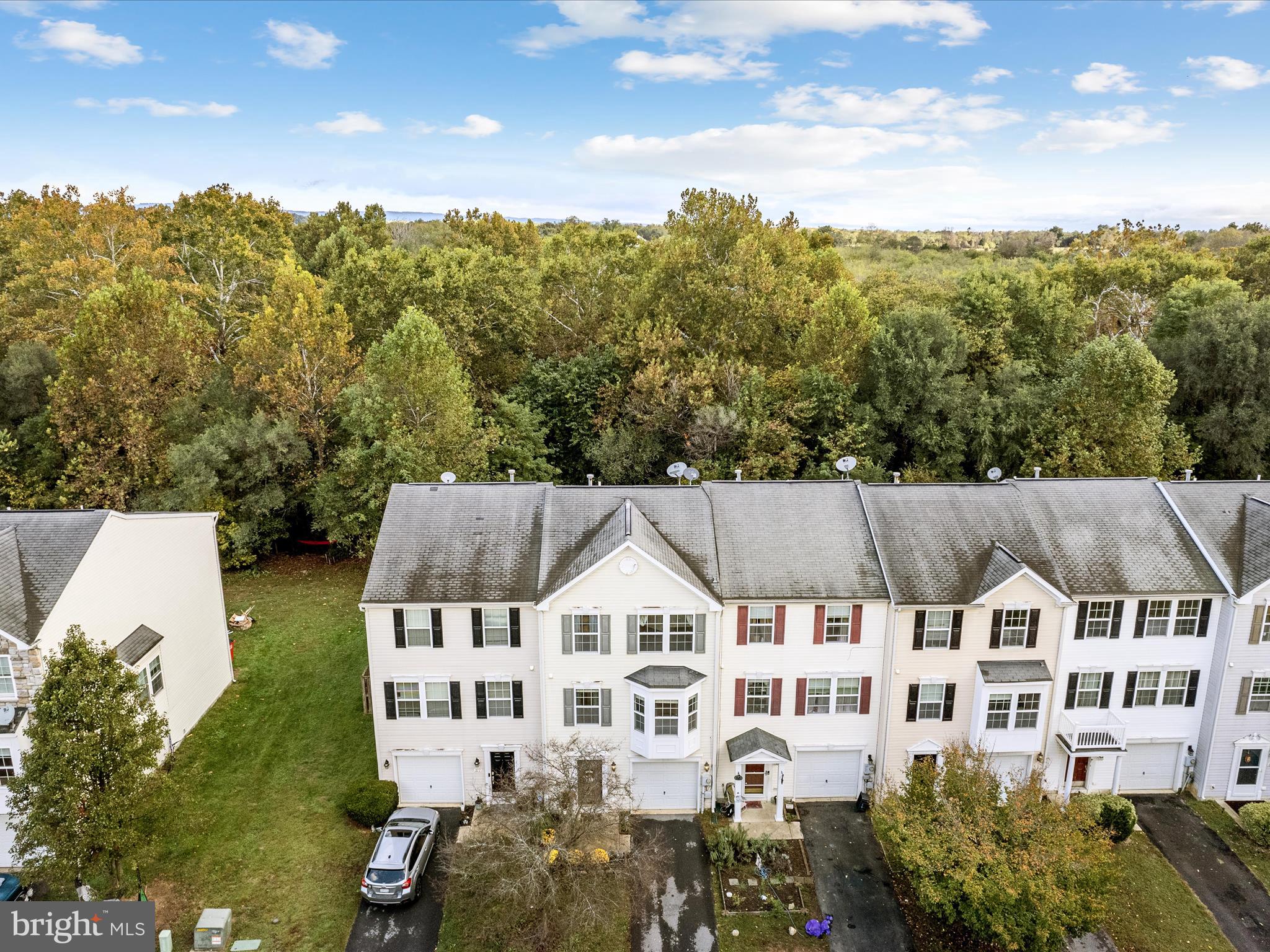 TROUT RUN - Residential