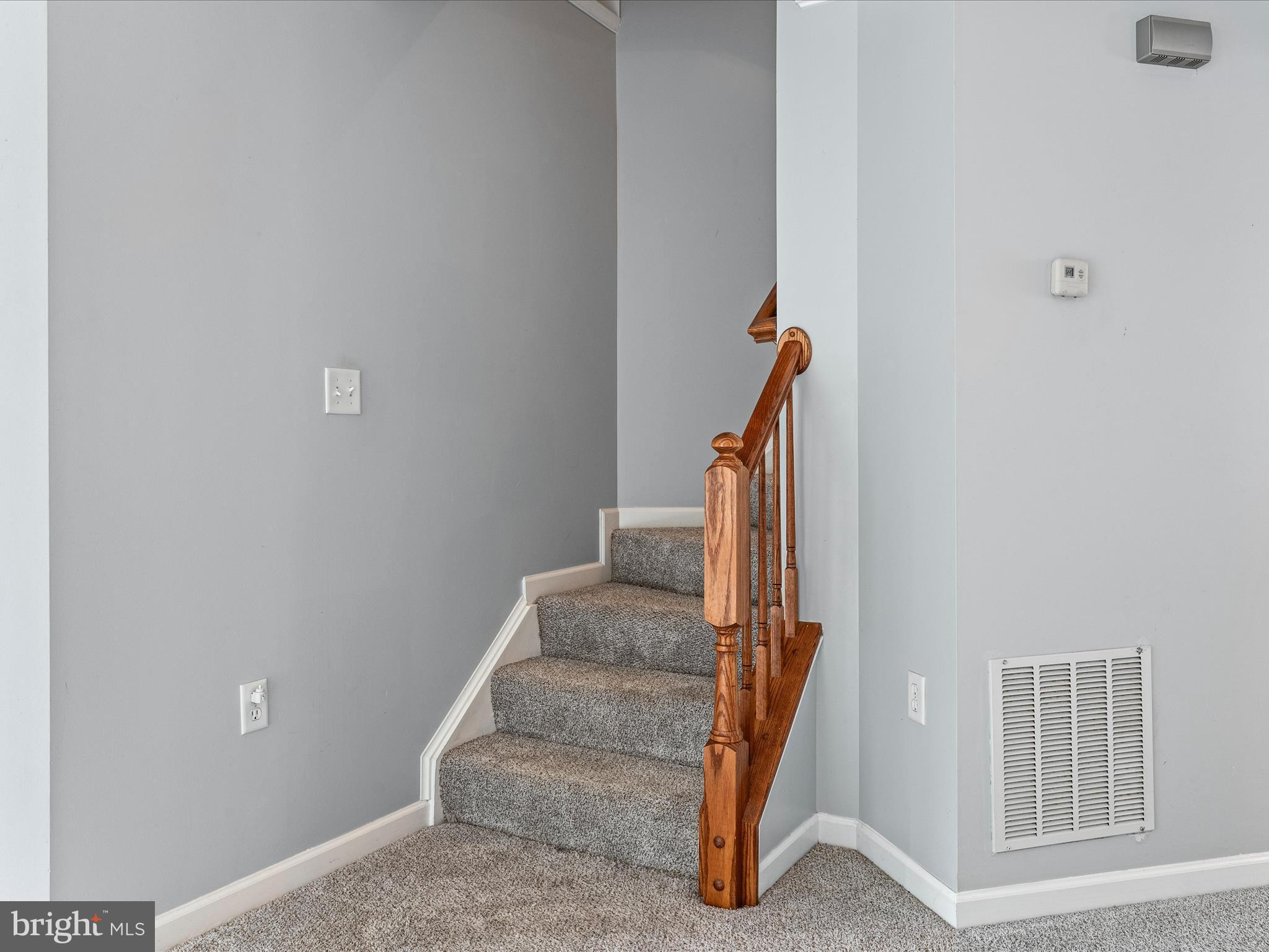 TROUT RUN - Residential