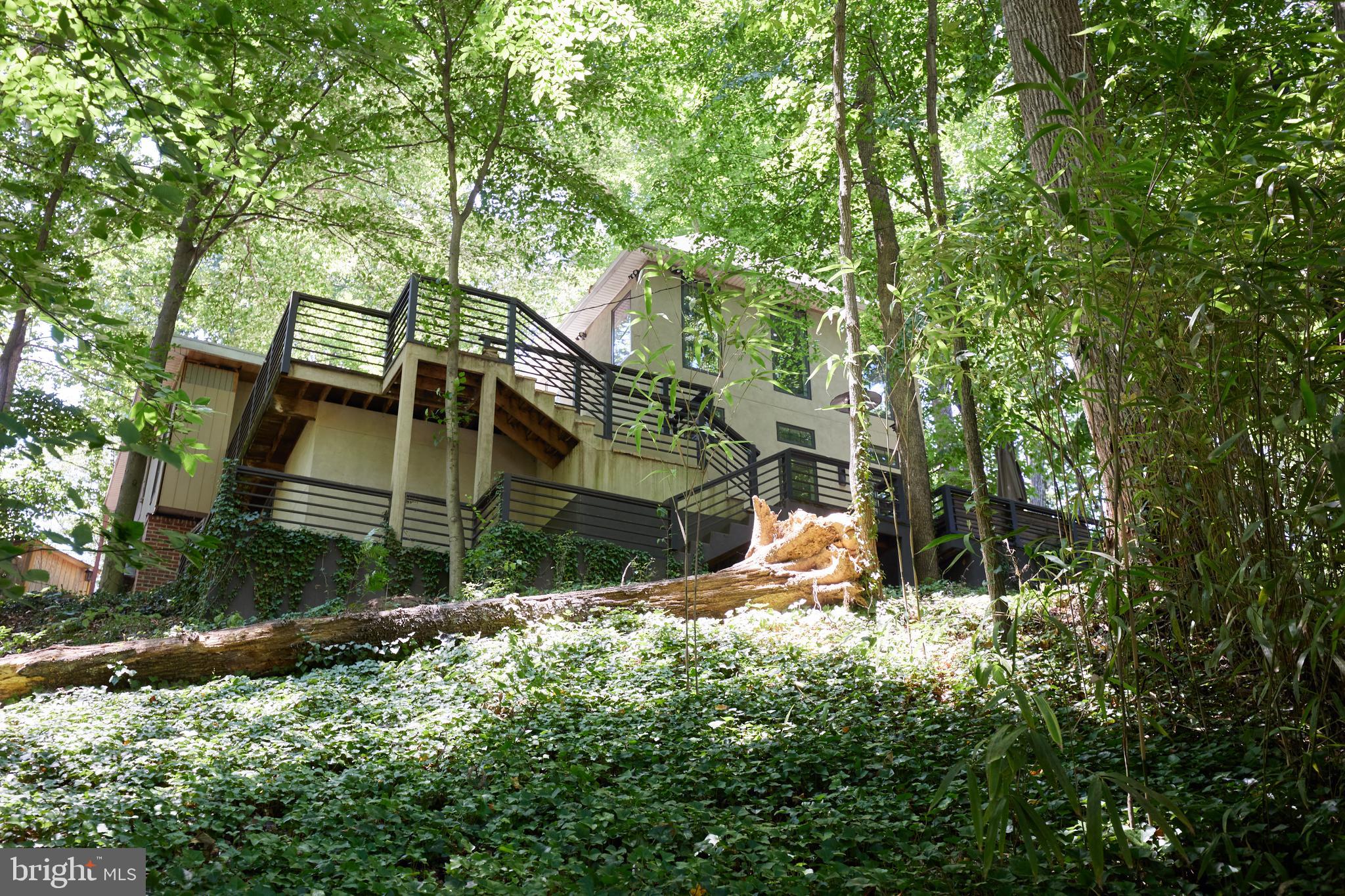 TAKOMA PARK - Residential