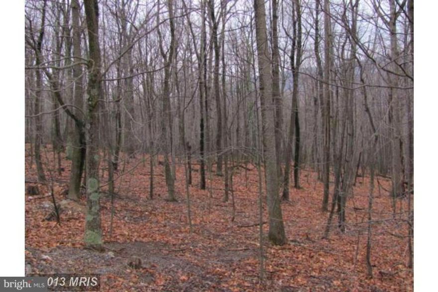 10.03 Ac Raw Land ,Buildable lot, Wooded Awesome Mountain Get away. Come build a Cottage or your dream home on this 10 + Acre Lot with Mature trees/some hardwoods
