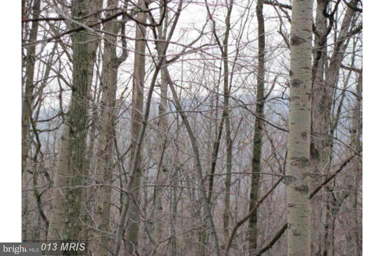 EAGLE MOUNTAIN - Land