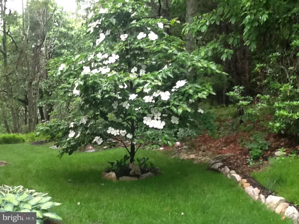 GREENE KNOLLS - Residential