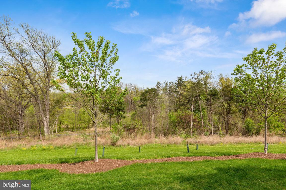 COMMONWEALTH PLACE AT WESTFIELDS - Residential