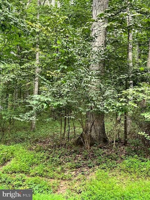 Vacant Land For Sale - Baumgardner Rd S<br/> KEYMAR, MD 21757