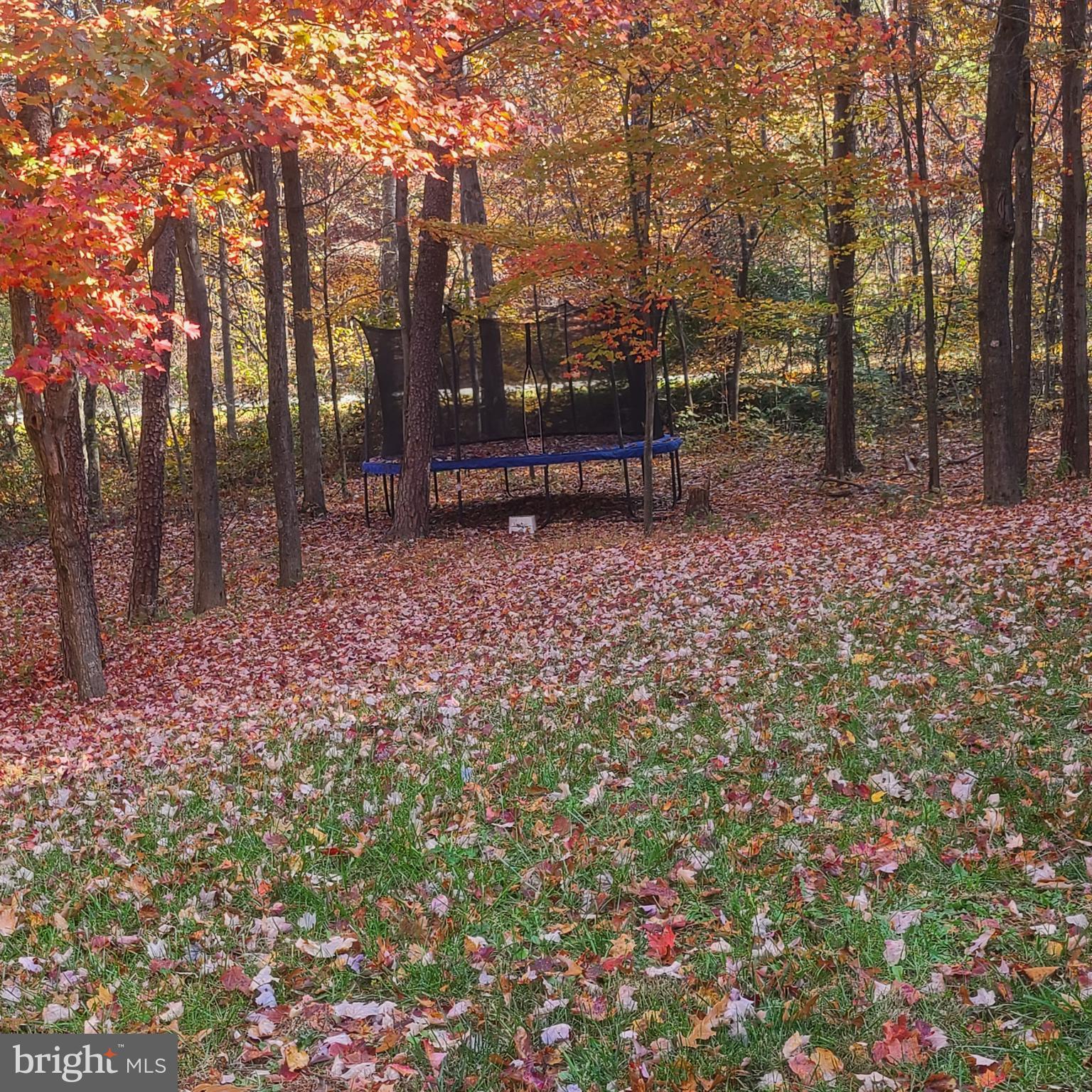 SHIRLEY FARMS - Residential