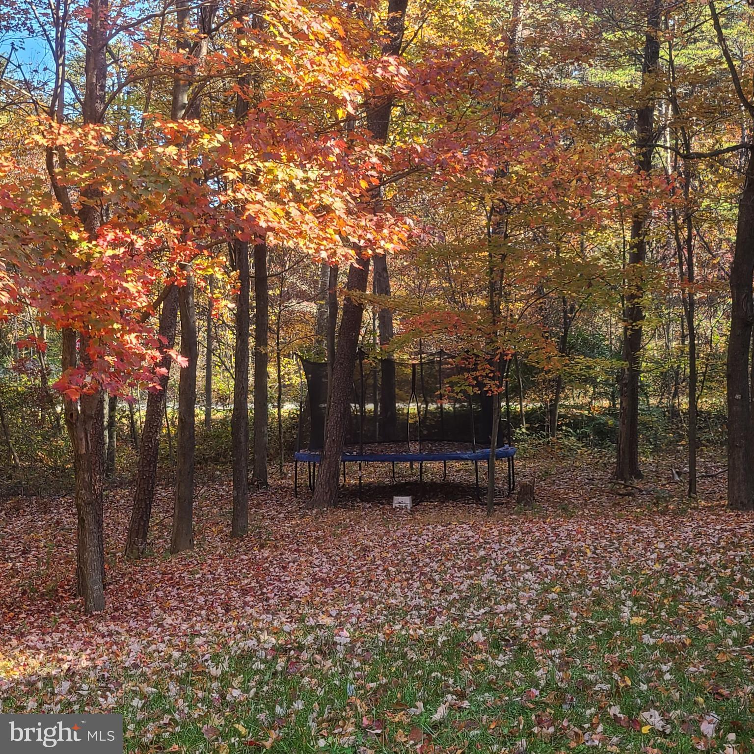 SHIRLEY FARMS - Residential