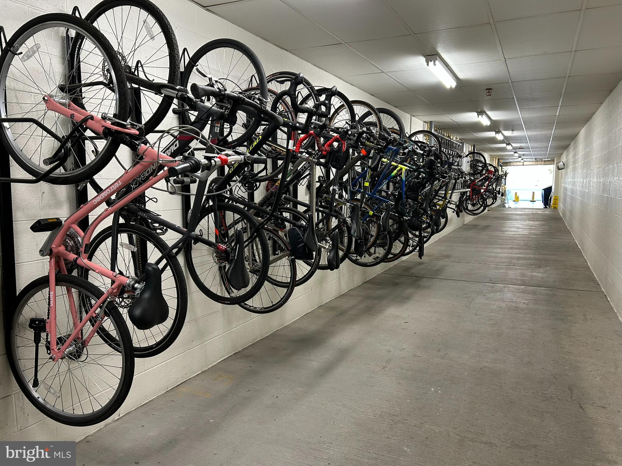 CARLTON HOUSE - Residential Lease