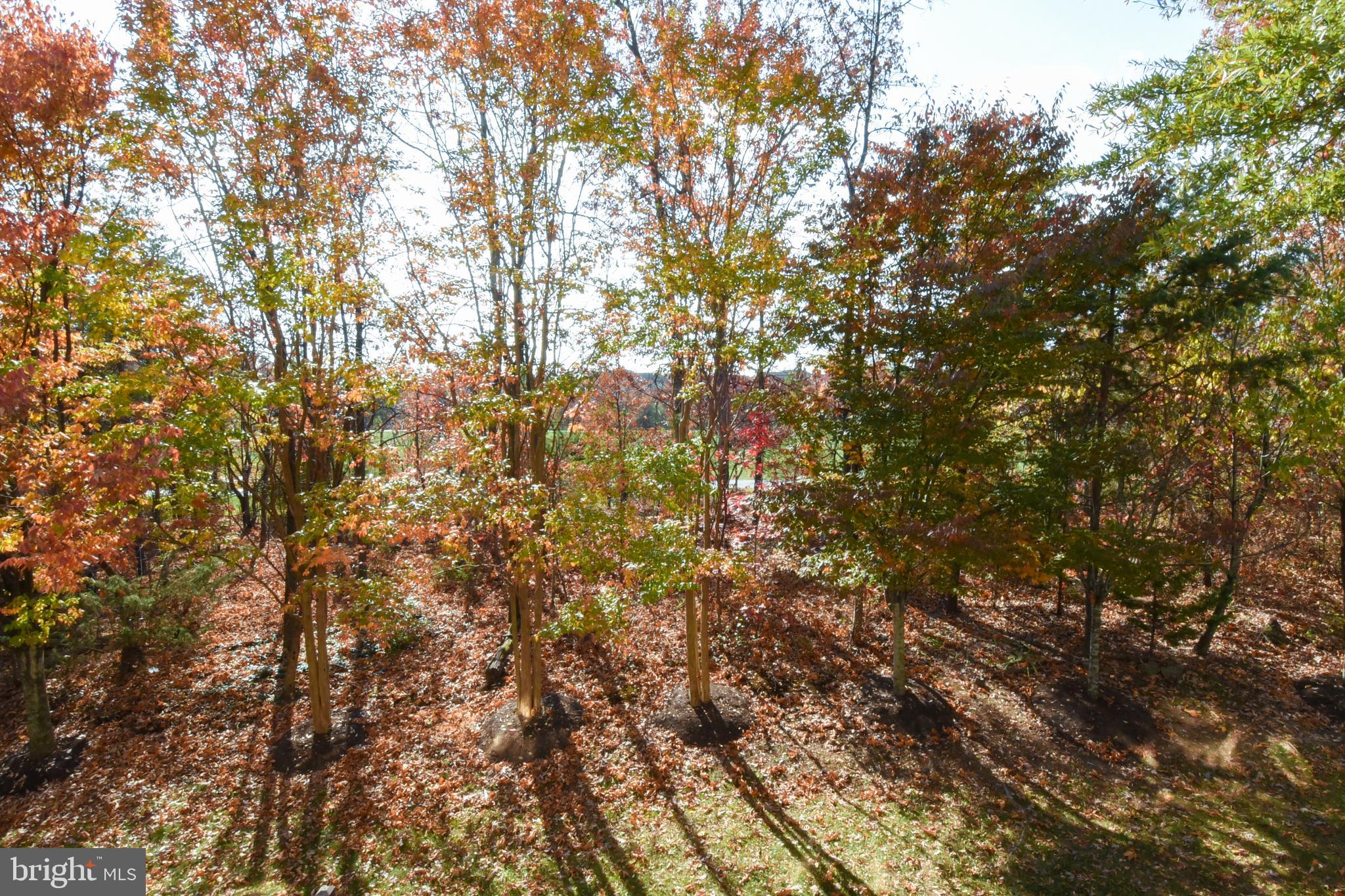 BELMONT LAND BAY - Residential Lease