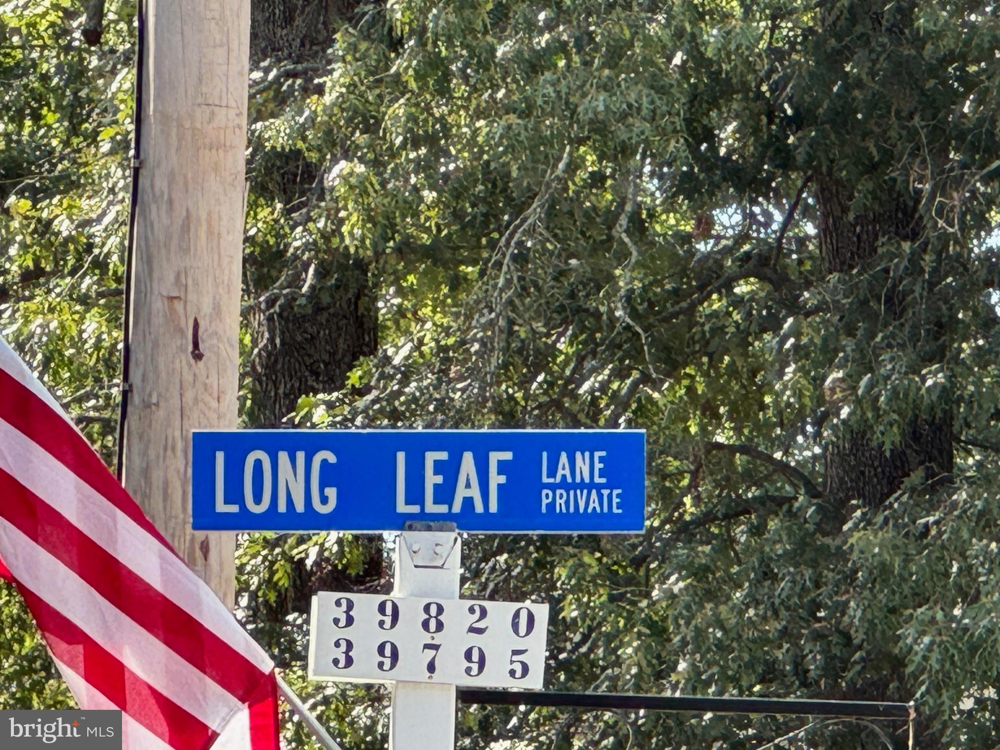 LONG LEAF LANE