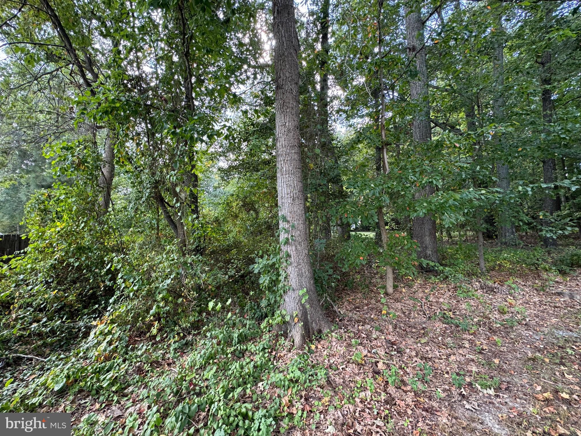 LONG LEAF LANE